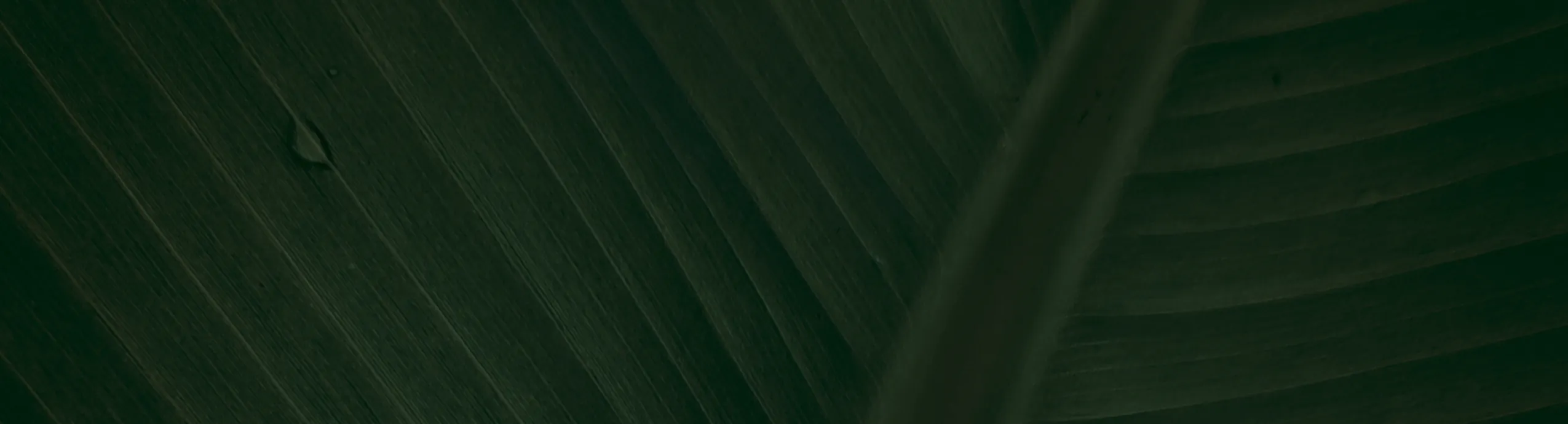 API 5CT Casing and Tubing